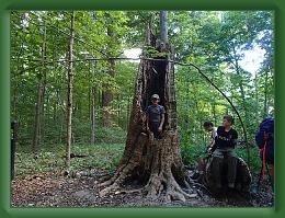 Scoutmasters Surprise (105) * 3968 x 2976 * (2.56MB)